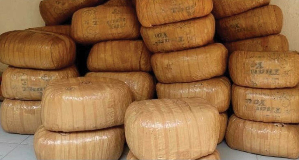 झारखंड में NCB की बड़ी कार्रवाई: पूर्वी सिंहभूम के बहरागोड़ा से 425 किलो गांजा जब्त