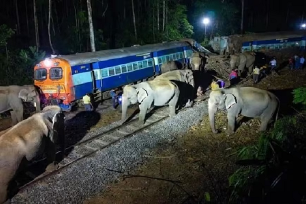 Rajdhani Express हादसा: हाथियों के झुंड से टकराई ट्रेन, इंजन और 5 कोच पटरी से उतरे