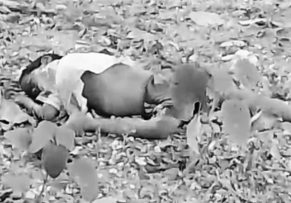 झारखंड में जंगली हाथी का आतंक, एक रात में 7 लोगों को कुचलकर मार डाला