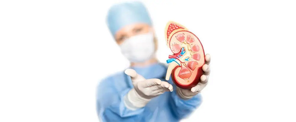 झारखंड में किडनी ट्रांसप्लांट की राह खुली, रिम्स और राज हॉस्पिटल को मिली मंजूरी